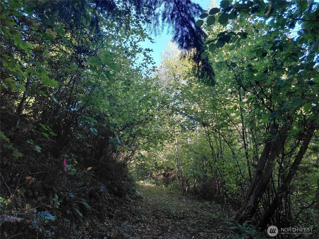 0 Buck Drive Randle WA 98377