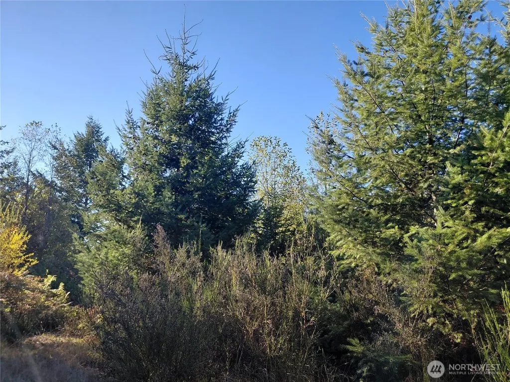 0 Buck Drive Randle WA 98377