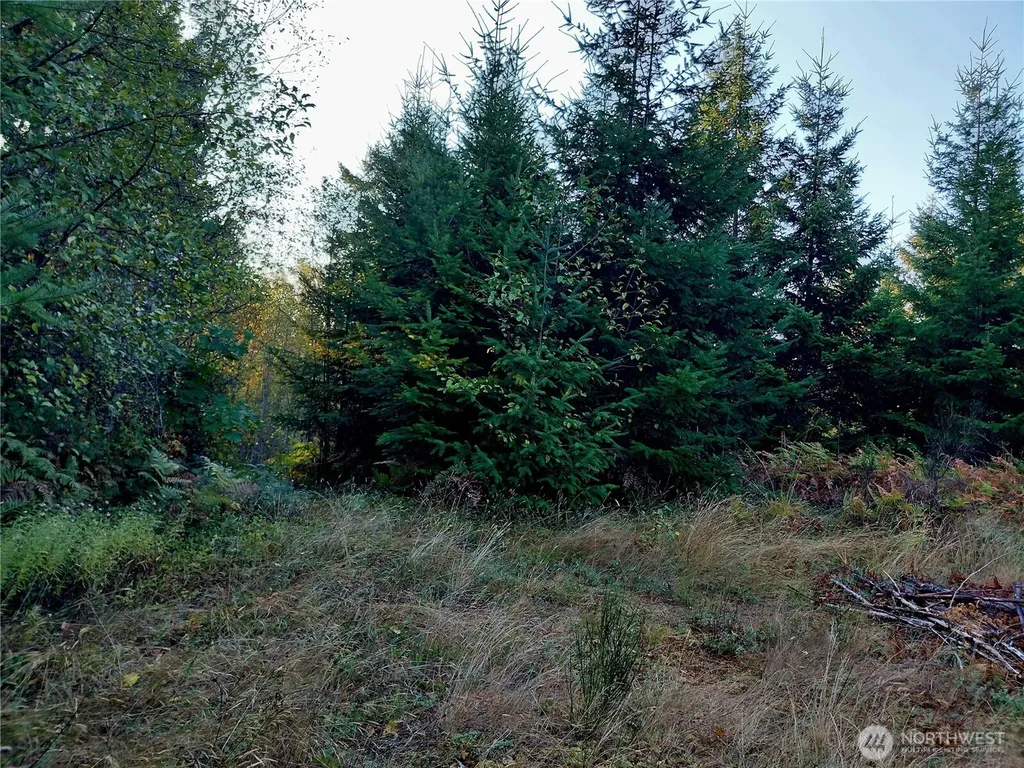 0 Buck Drive Randle WA 98377