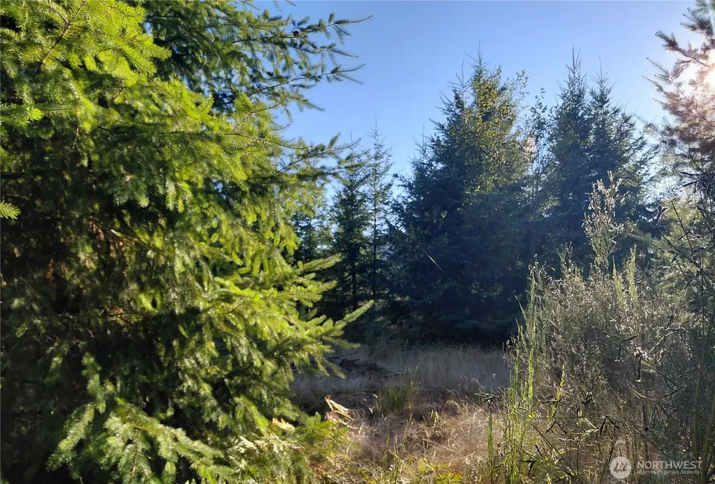 0 Buck Drive Randle WA 98377