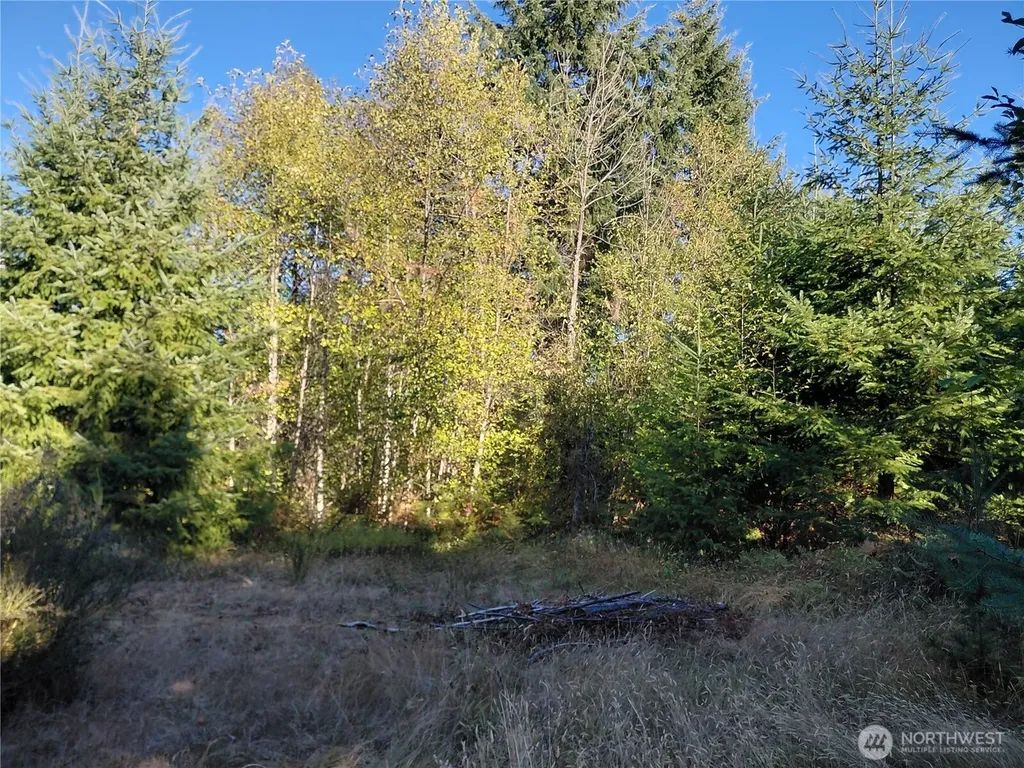0 Buck Drive Randle WA 98377