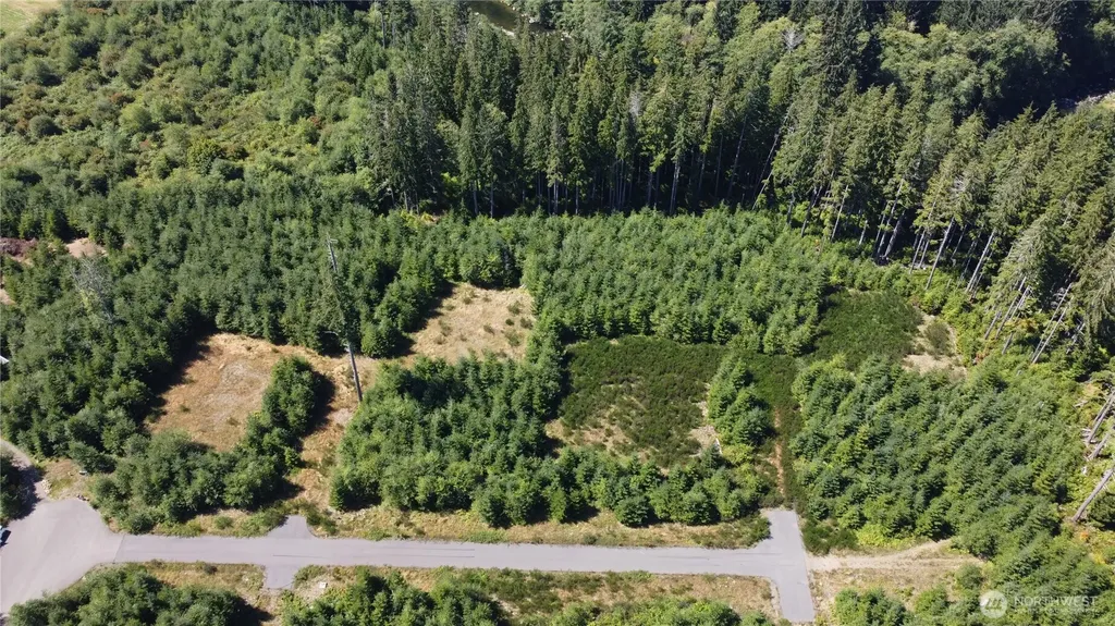 9999 King Johns-lot 3 Raven Way Forks WA 98331