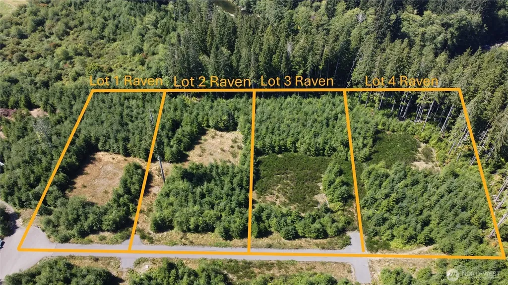 9999 King Johns-lot 3 Raven Way Forks WA 98331