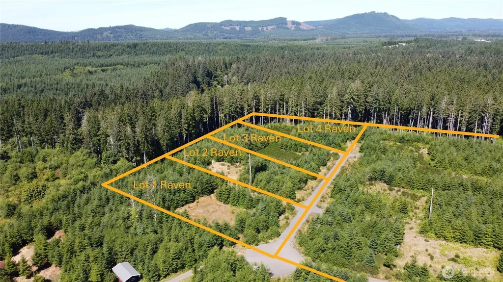 9999 King Johns-lot 3 Raven Way Forks WA 98331
