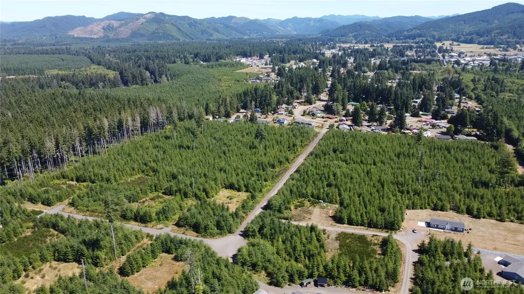 9999 King Johns-lot 3 Raven Way Forks WA 98331