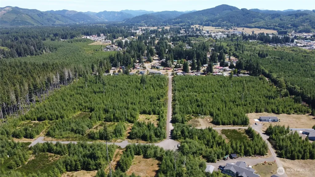 9999 King Johns-lot 3 Raven Way Forks WA 98331