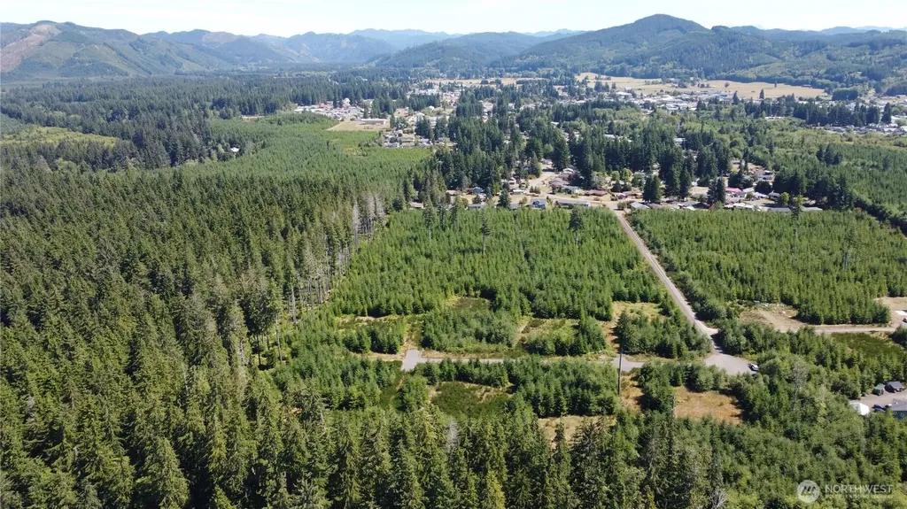9999 King Johns-lot 3 Raven Way Forks WA 98331