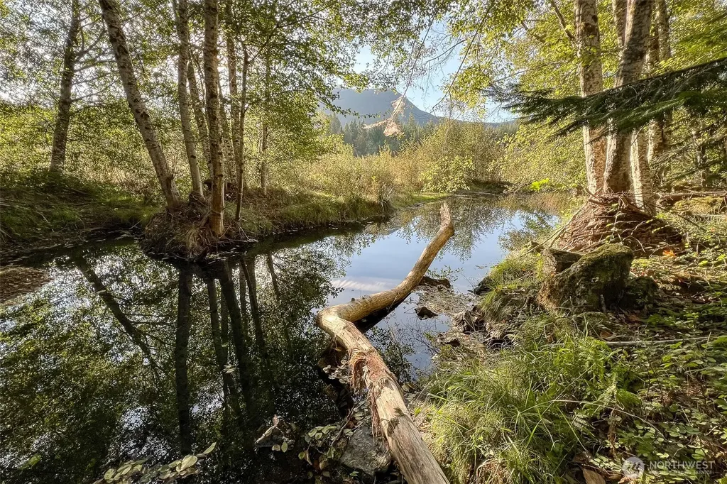 104 Rainbow Place White Pass WA 98361