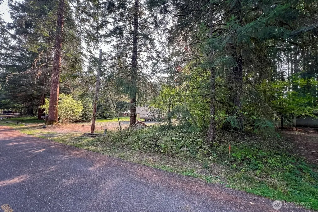104 Rainbow Place White Pass WA 98361