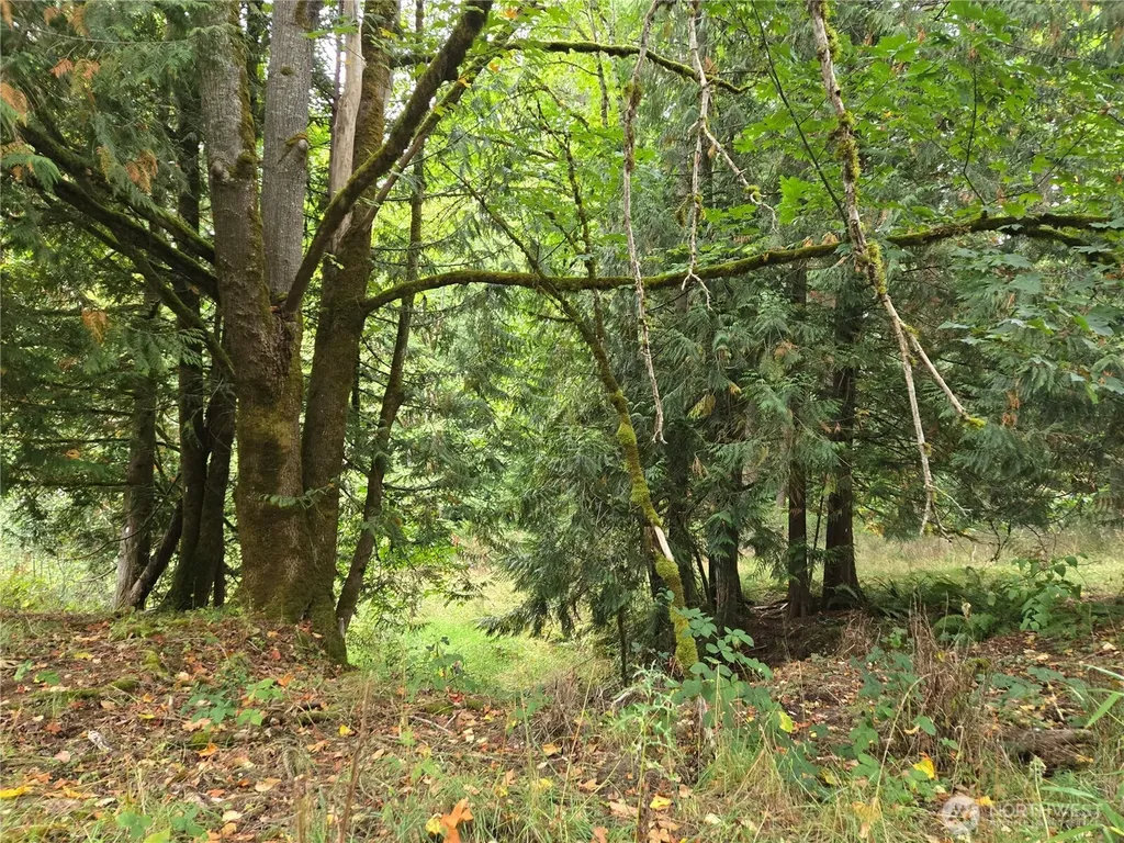 12628 208th Place NE Woodinville WA 98077