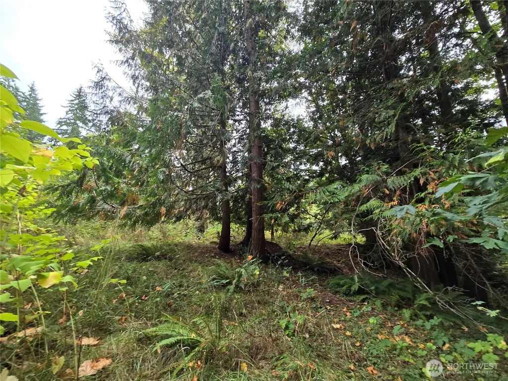 12628 208th Place NE Woodinville WA 98077