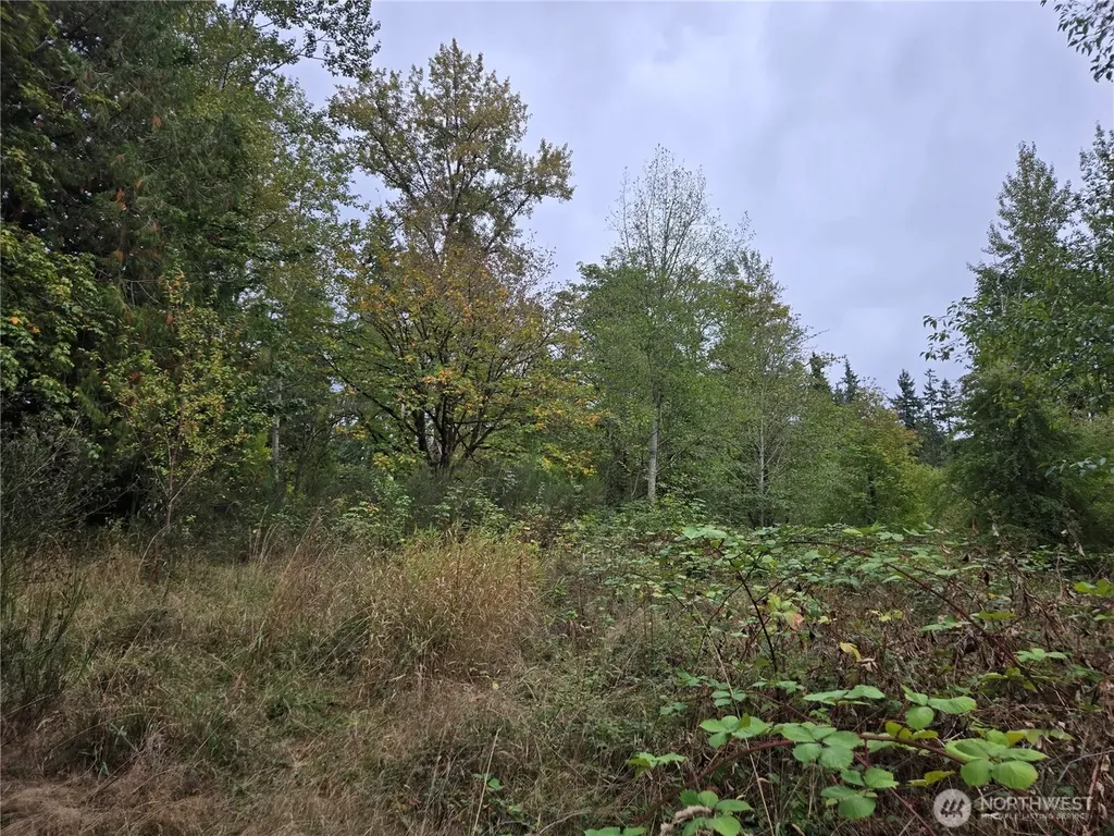 12628 208th Place NE Woodinville WA 98077