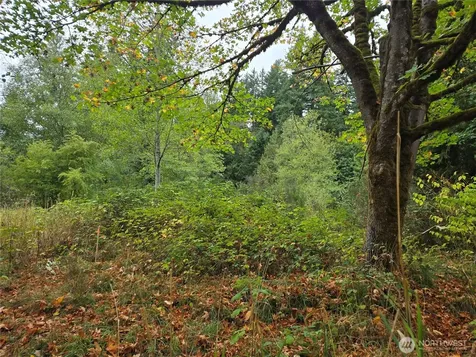 12628 208th Place NE Woodinville WA 98077