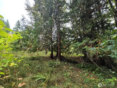 12628 208th Place NE Woodinville WA 98077