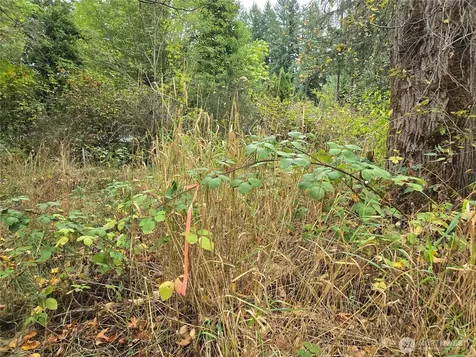 12628 208th Place NE Woodinville WA 98077