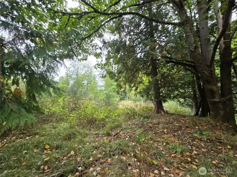 12628 208th Place NE Woodinville WA 98077