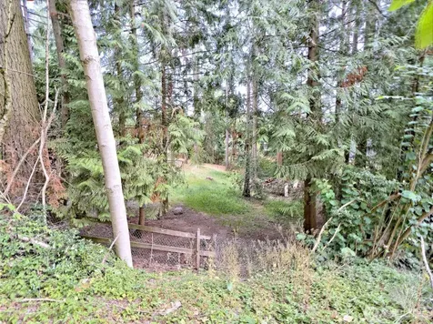 17204 Northup Way Bellevue WA 98008
