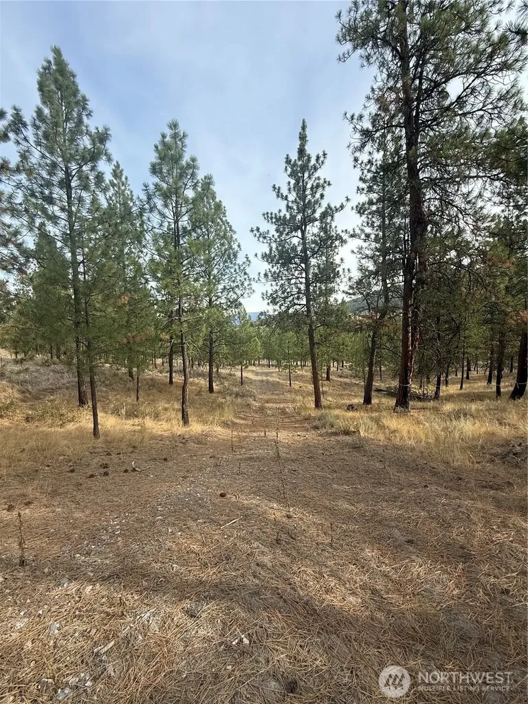 67 W Bannon Creek Road Tonasket WA 98855