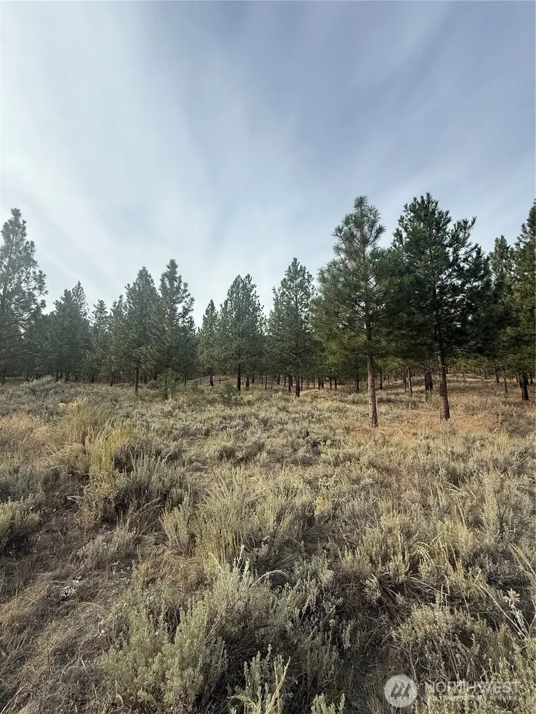 67 W Bannon Creek Road Tonasket WA 98855
