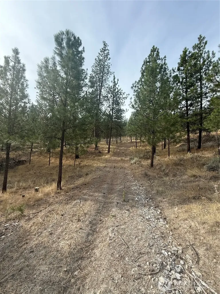 67 W Bannon Creek Road Tonasket WA 98855