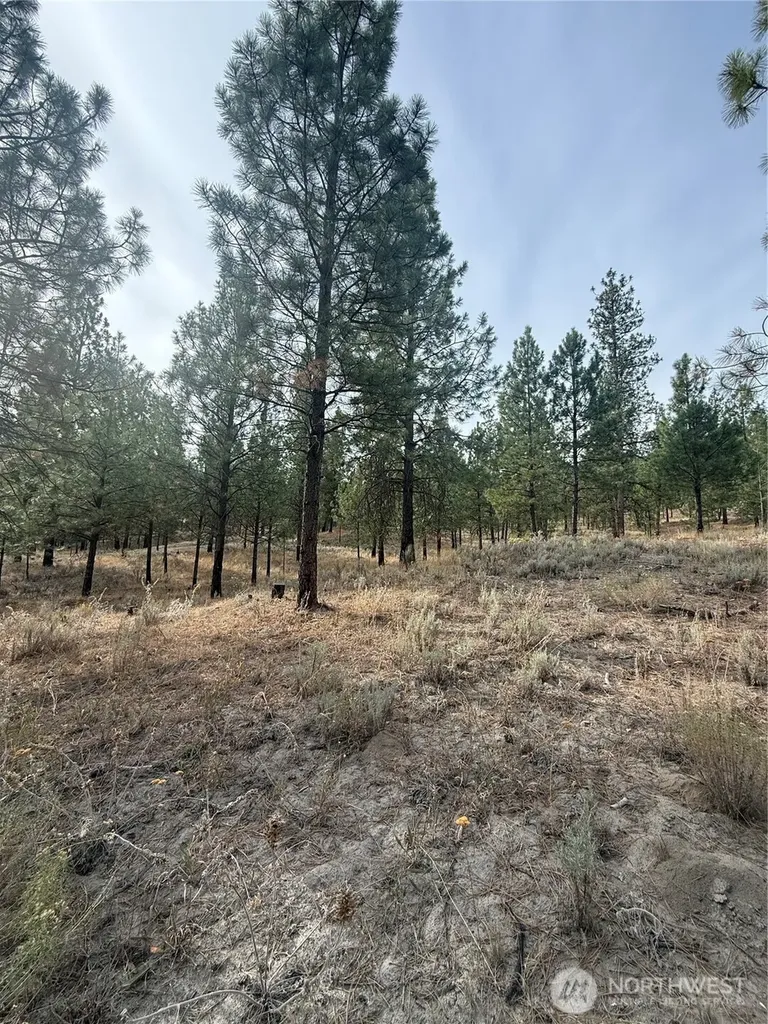 67 W Bannon Creek Road Tonasket WA 98855