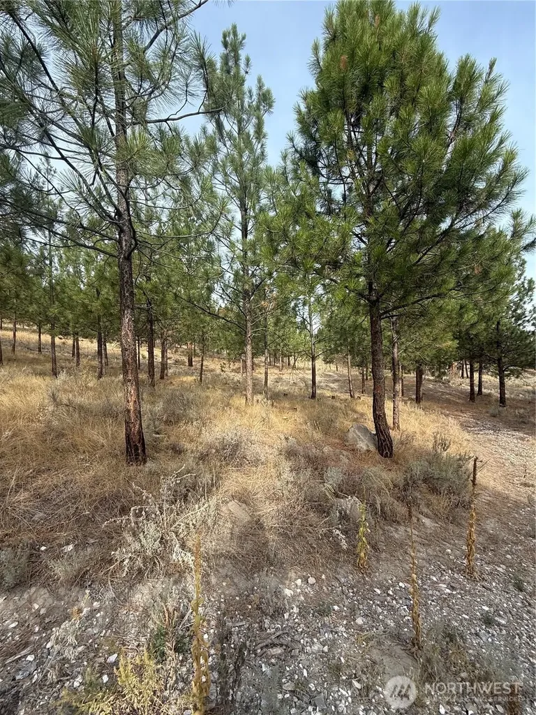 67 W Bannon Creek Road Tonasket WA 98855
