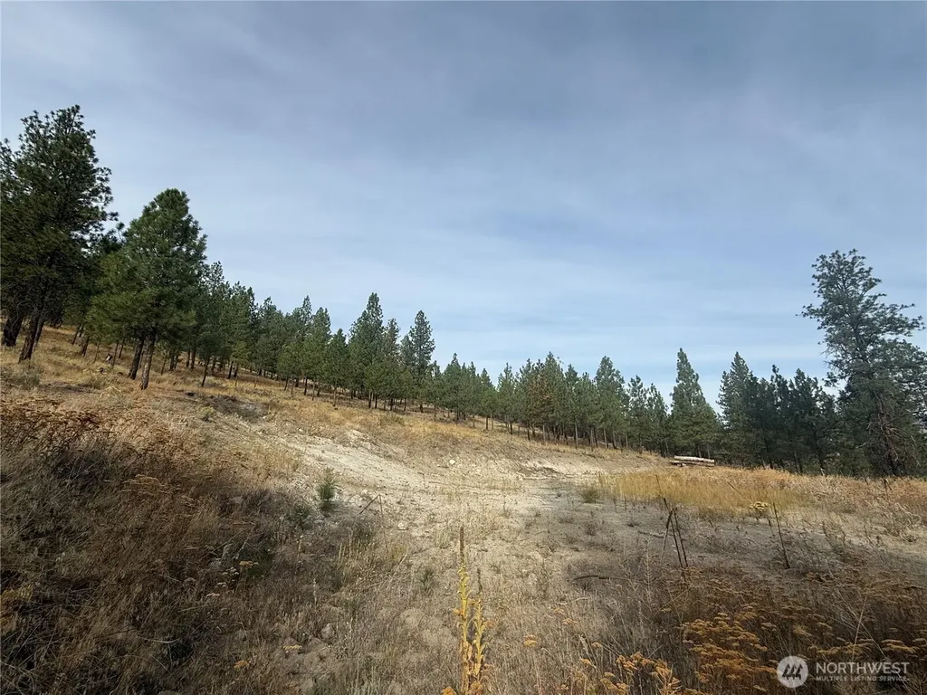 67 W Bannon Creek Road Tonasket WA 98855