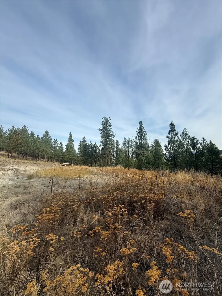 67 W Bannon Creek Road Tonasket WA 98855