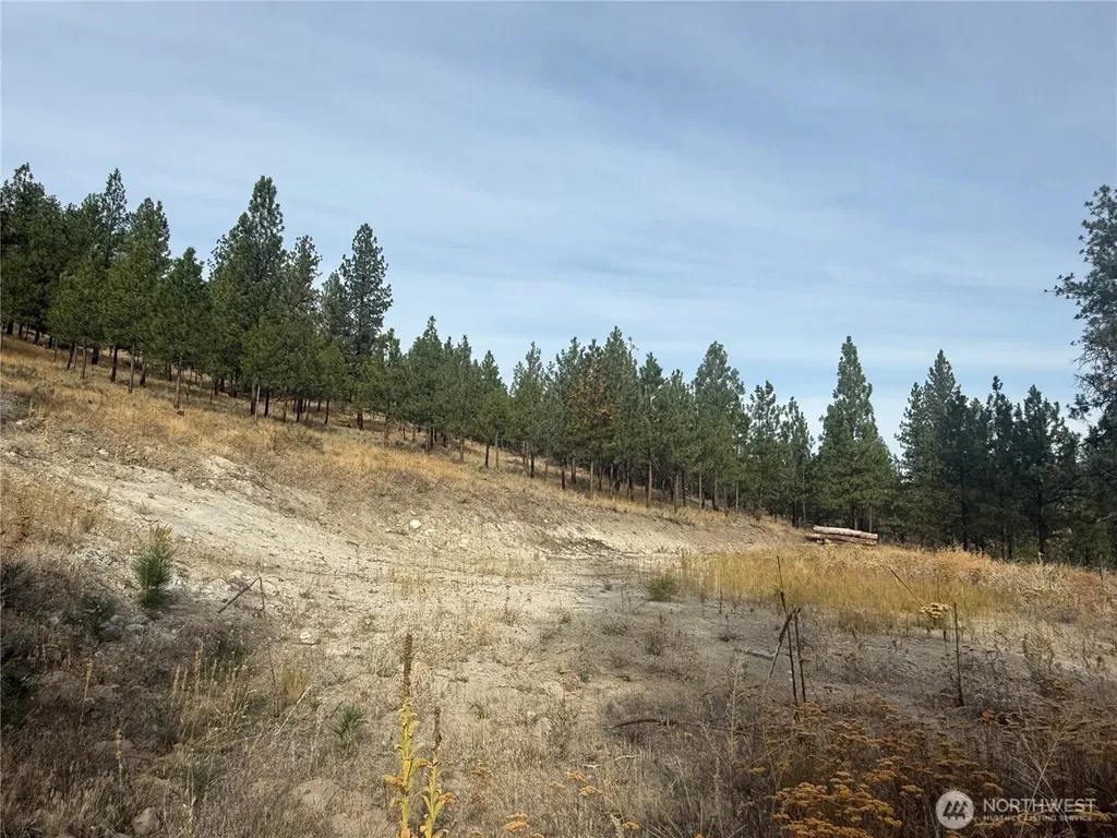67 W Bannon Creek Road Tonasket WA 98855
