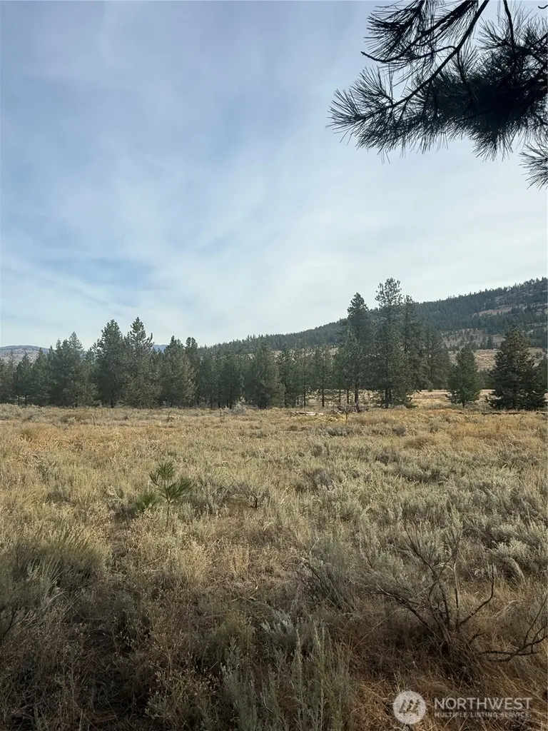 67 W Bannon Creek Road Tonasket WA 98855