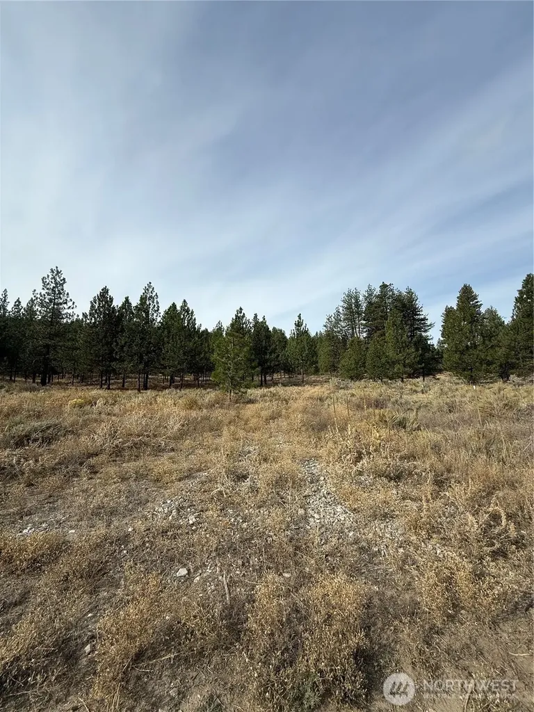 67 W Bannon Creek Road Tonasket WA 98855