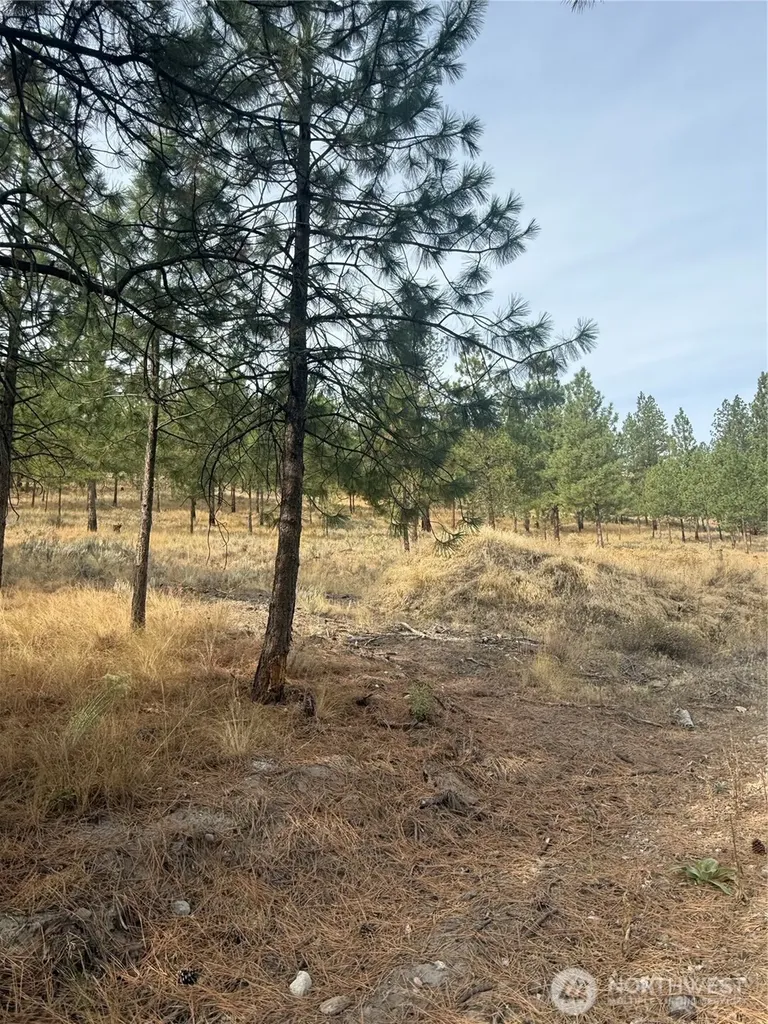 67 W Bannon Creek Road Tonasket WA 98855