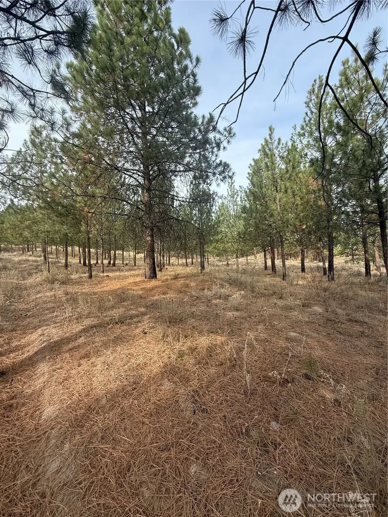67 W Bannon Creek Road Tonasket WA 98855
