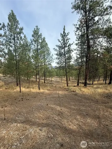 67 W Bannon Creek Road Tonasket WA 98855