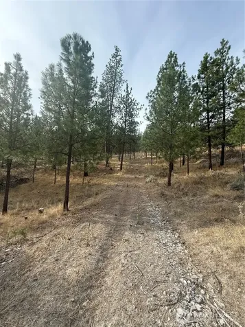 67 W Bannon Creek Road Tonasket WA 98855