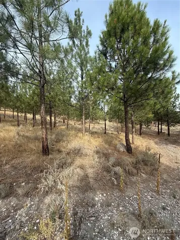 67 W Bannon Creek Road Tonasket WA 98855