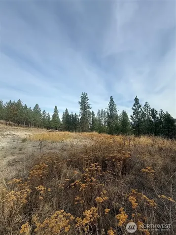 67 W Bannon Creek Road Tonasket WA 98855