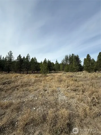 67 W Bannon Creek Road Tonasket WA 98855