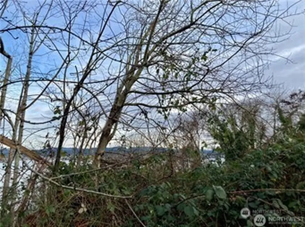 97 Xx Arrowsmith Avenue S Seattle WA 98118