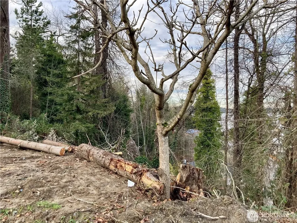 97 Xx Arrowsmith Avenue S Seattle WA 98118
