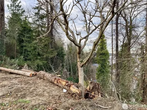97 Xx Arrowsmith Avenue S Seattle WA 98118