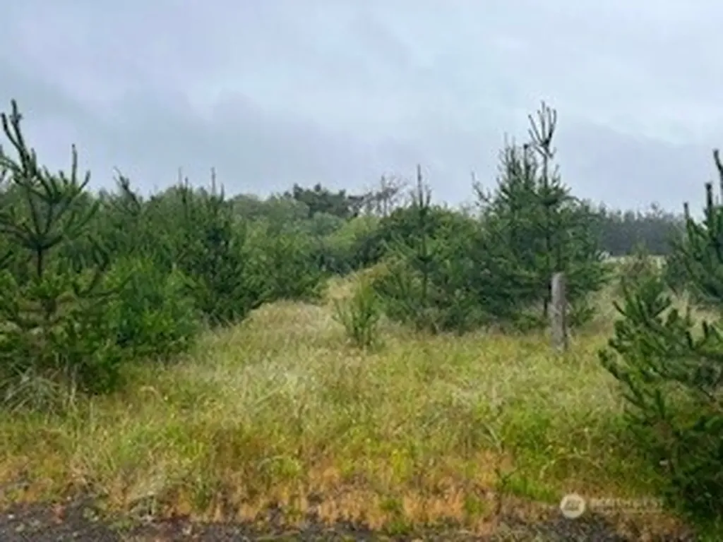 806 318th Place Ocean Park WA 98640
