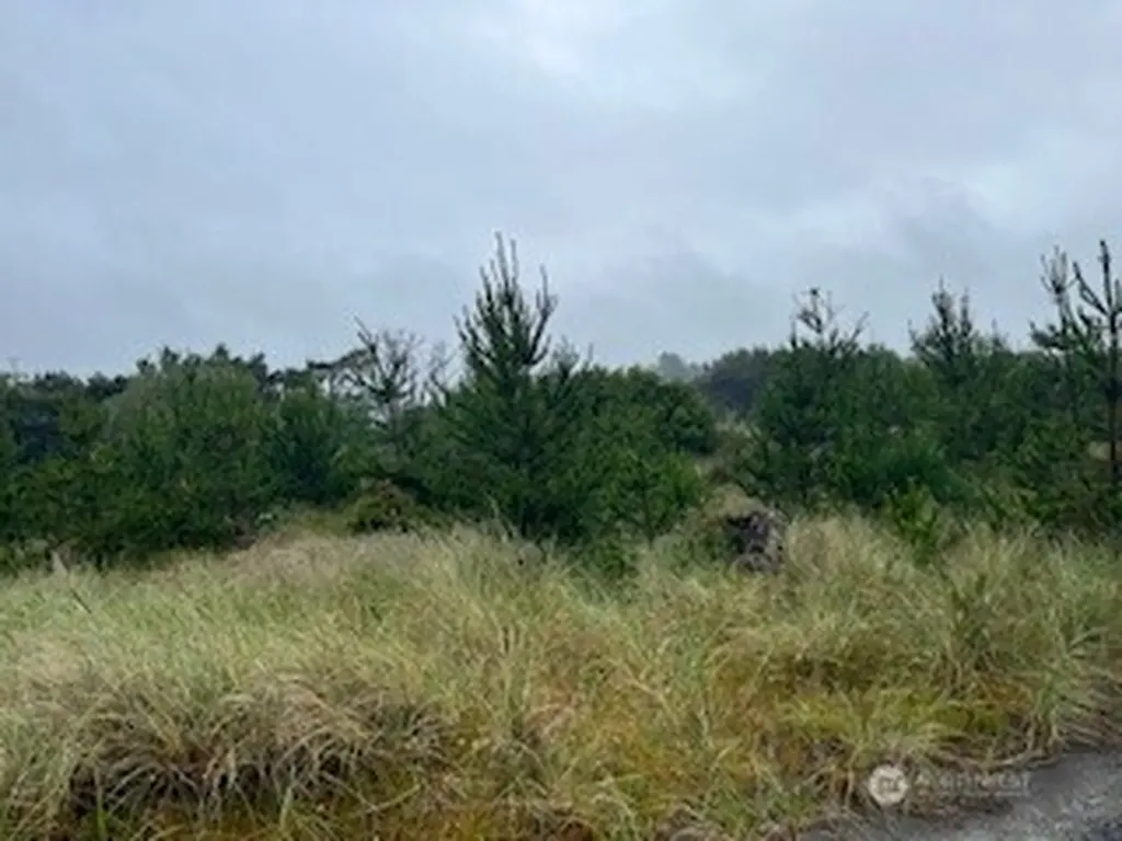 806 318th Place Ocean Park WA 98640