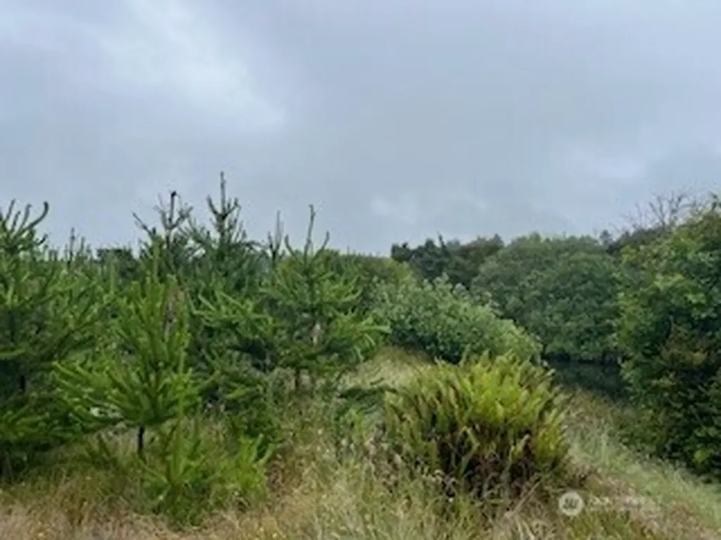 806 318th Place Ocean Park WA 98640