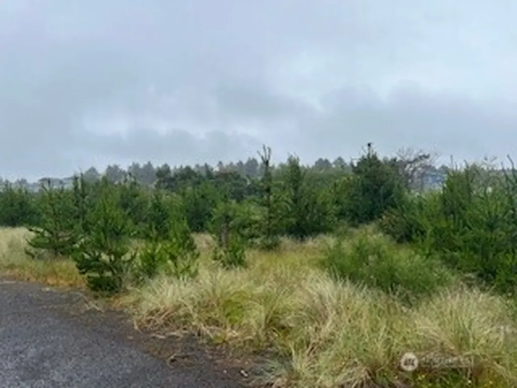806 318th Place Ocean Park WA 98640