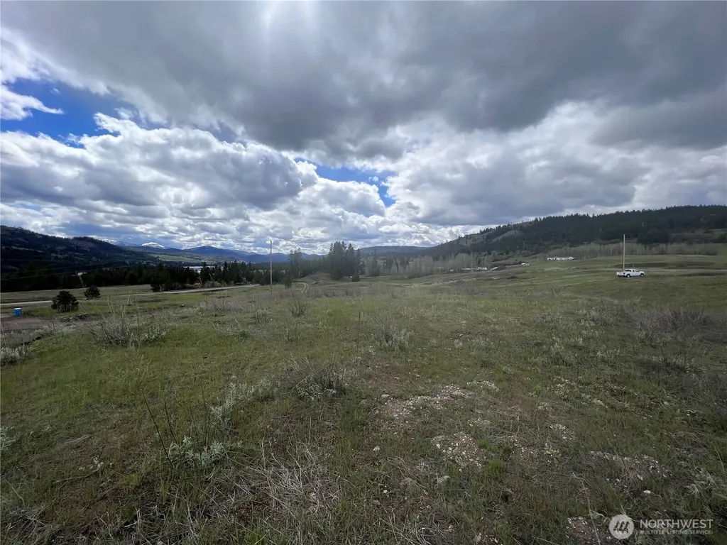 24 Spoke Lane Republic WA 99166