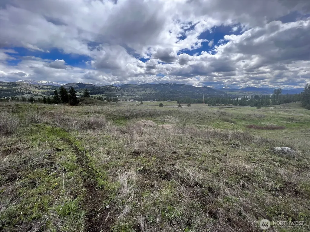 24 Spoke Lane Republic WA 99166