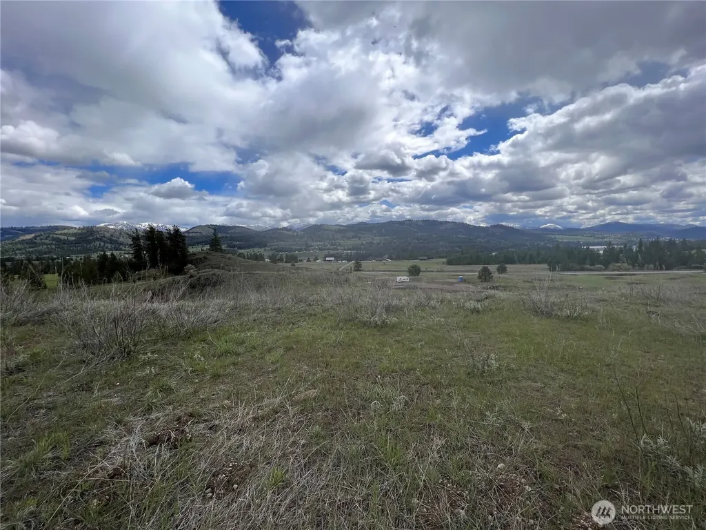 24 Spoke Lane Republic WA 99166