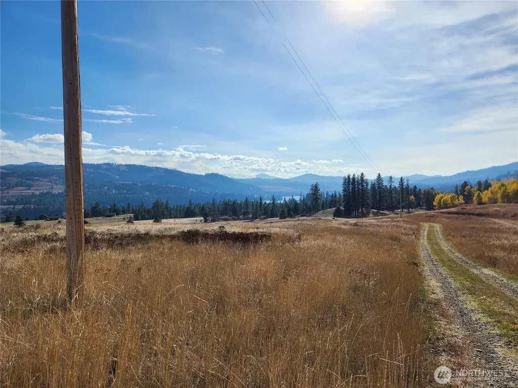 24 Spoke Lane Republic WA 99166
