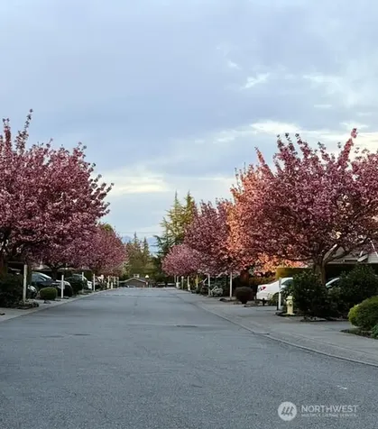 15414 35th Avenue W Lynnwood WA 98087